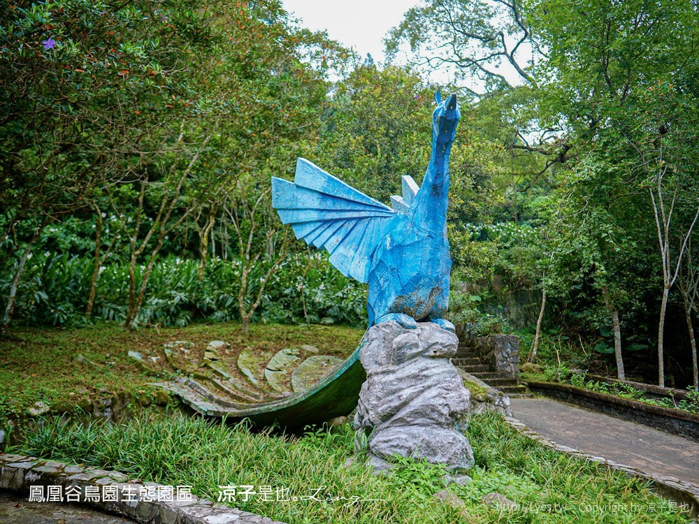 鳳凰谷鳥園生態園區 南投 親子景點 森林溜滑梯 賞鳥 DIY 鹿谷 步道 吊橋 瀑布