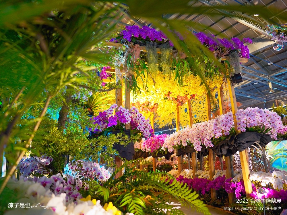 台灣國際蘭展 門票 2023時間 台南景點 魔境 恐龍 親子diy 必看亮點 台南限定蘭花