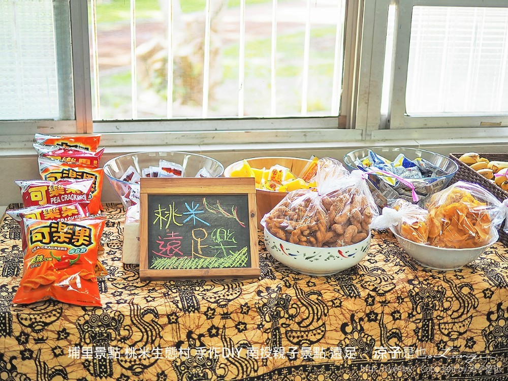 埔里景點 桃米生態村 手作diy 南投親子景點 遠足