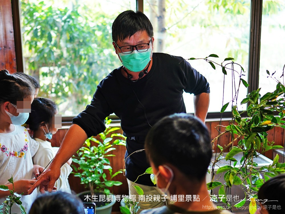 木生昆蟲博物館 南投親子 埔里景點