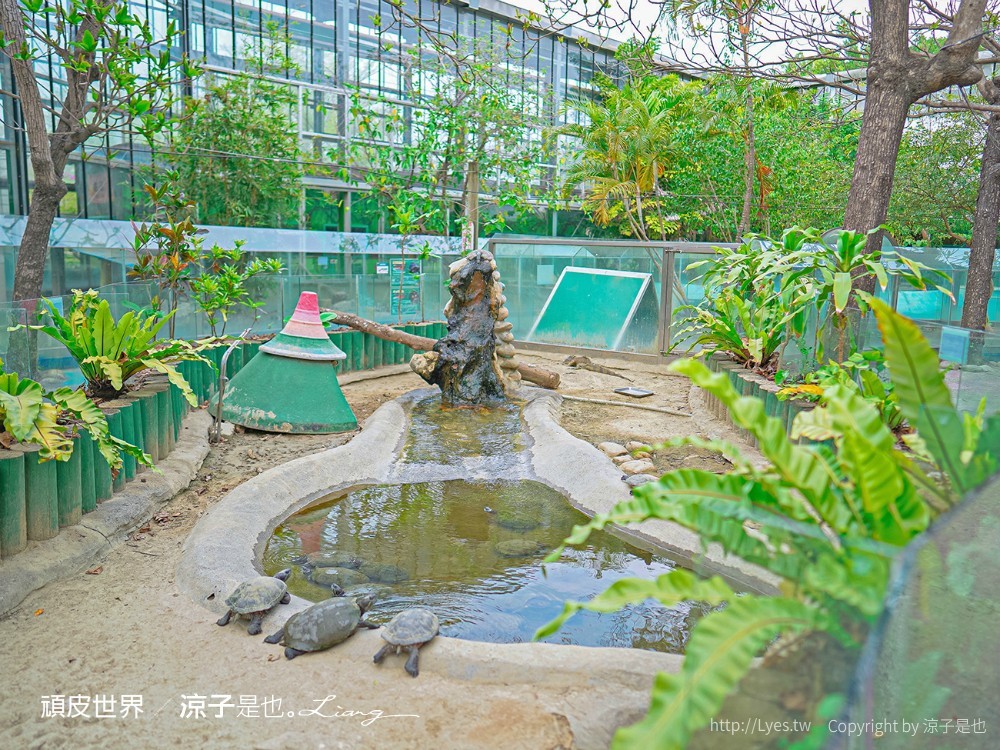 頑皮世界野生動物園攻略 門票優惠 台南親子景點 南台灣動物園 水豚君 長頸鹿 遊樂設施 戲水池