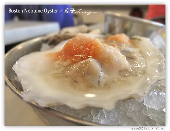 Boston Neptune Oyster 4