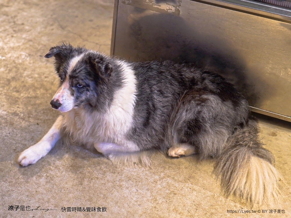 快雲時晴 覺味食飲 菜單 台南景觀餐廳 台南白河 夜景咖啡館 夕陽黃昏 台南夜景 訂位 預約制