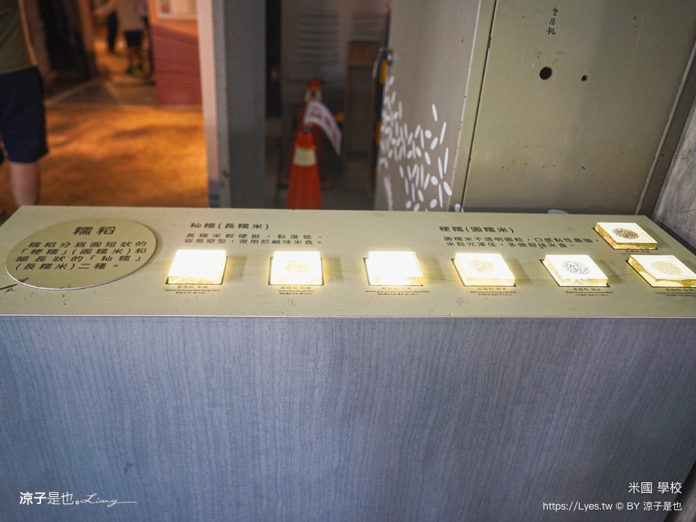 米國學校 關山鎮農會休閒旅遊中心 台東親子景點 關山景點 關山美食 關山米 古早味便當 免門票