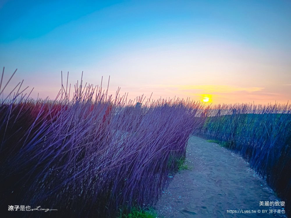 台南景點 七彩同心圓迷宮 ig打卡 開江紀 台江國家公園 鹿耳門 台南地景藝術 台江建庄二百年