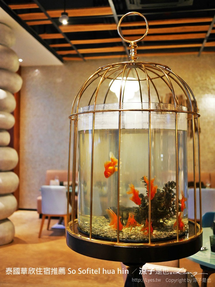 泰國華欣住宿推薦 So Sofitel hua hin