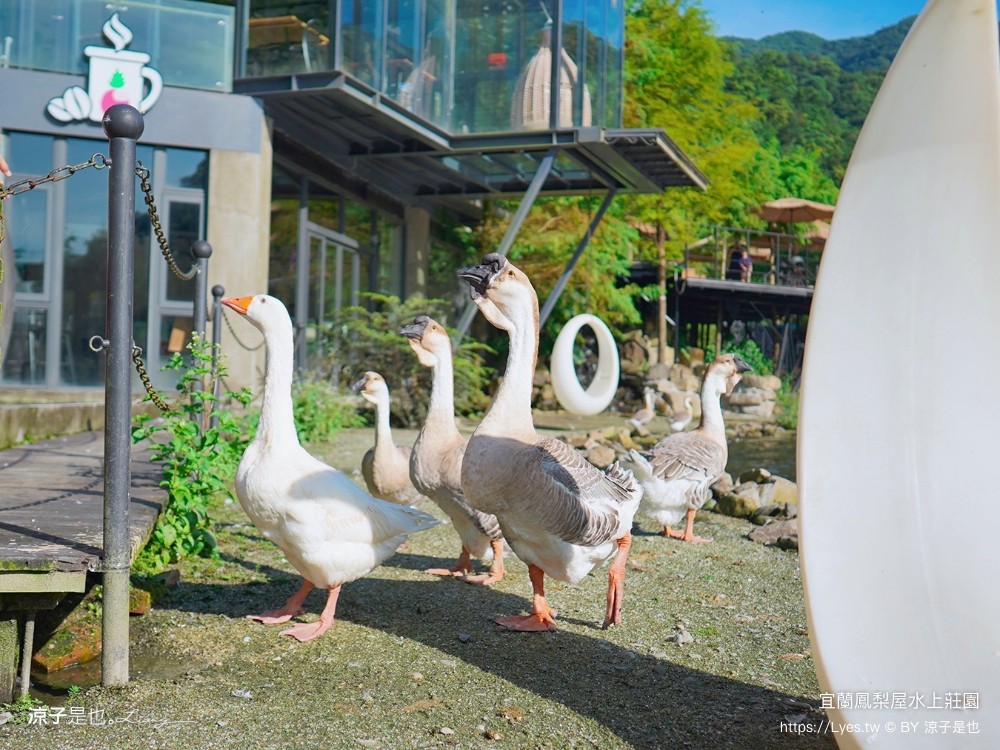 鳳梨屋水上莊 餵羊 早餐 晚餐 帳棚 親子diy