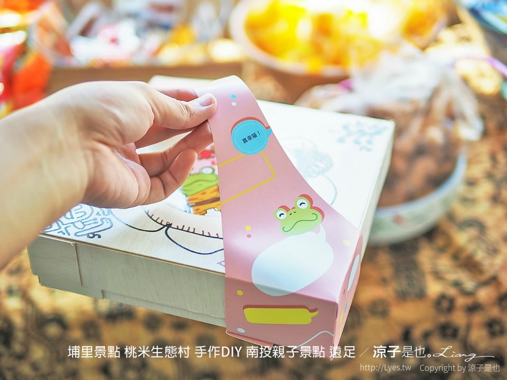 埔里景點 桃米生態村 手作diy 南投親子景點 遠足