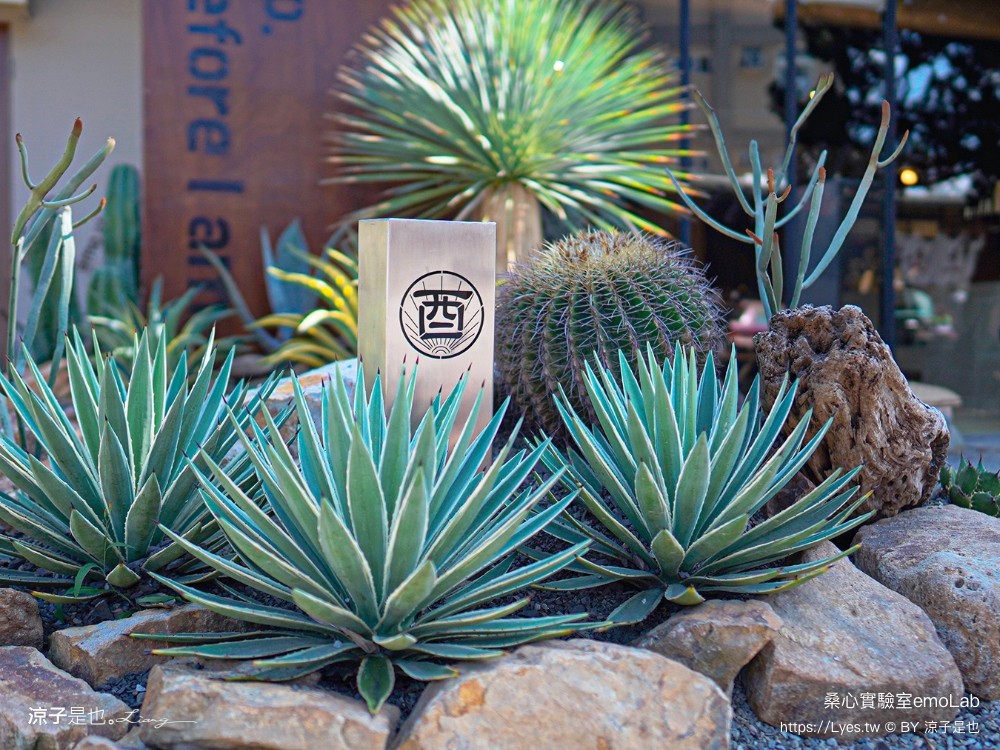 桑心實驗室 emolab 菜單 埔里景點 埔里咖啡館 桑心合作社 桃米生態村 埔里美食 酉 露營風咖啡館