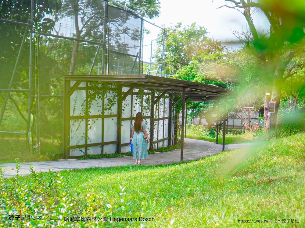 哈赫拿爾森林公園 台南景點 最新公園 森林秘境 開放時間 綠化 生態公園 交通 親子 hagenaars bosch