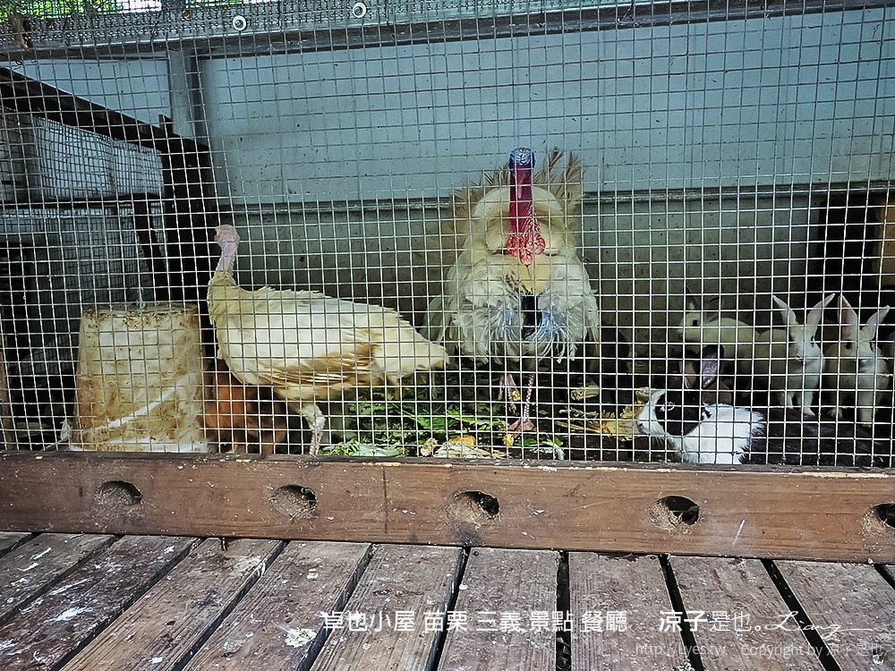 卓也小屋 苗栗 三義 景點 餐廳