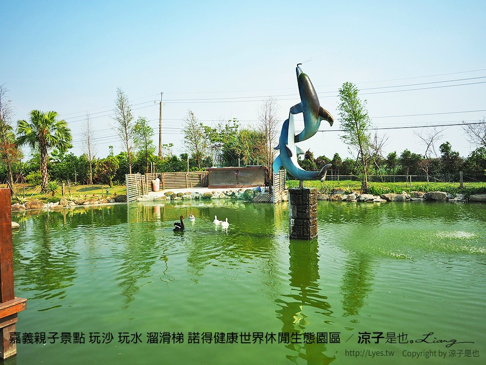 嘉義親子景點 玩沙 玩水 溜滑梯 諾得健康世界休閒生態園區