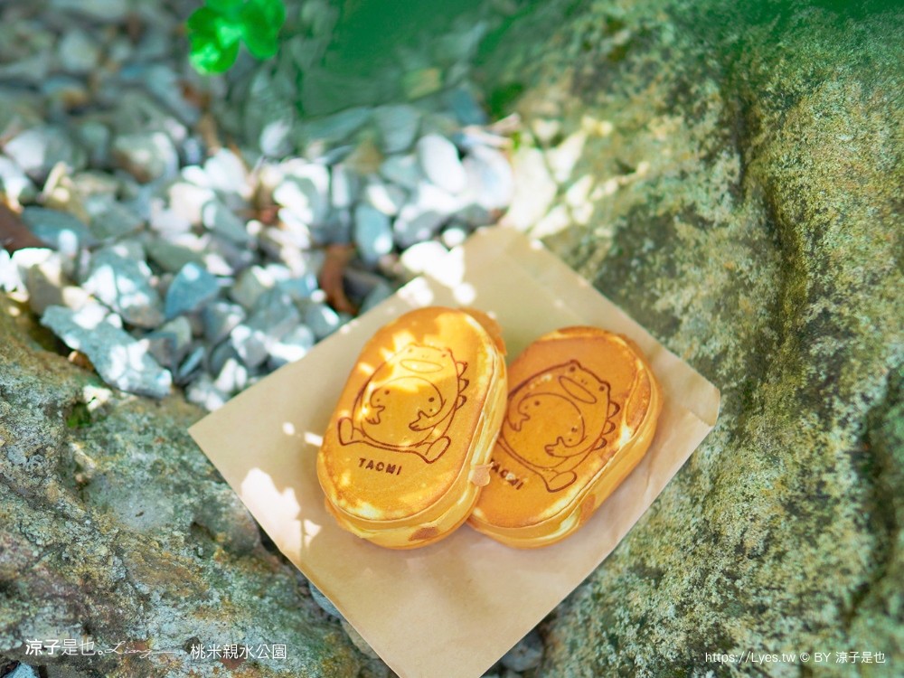 桃米親水公園 2024埔里親水節 南投埔里景點 免門票戲水池 親子玩水景點 山系親水公園 親子DIY