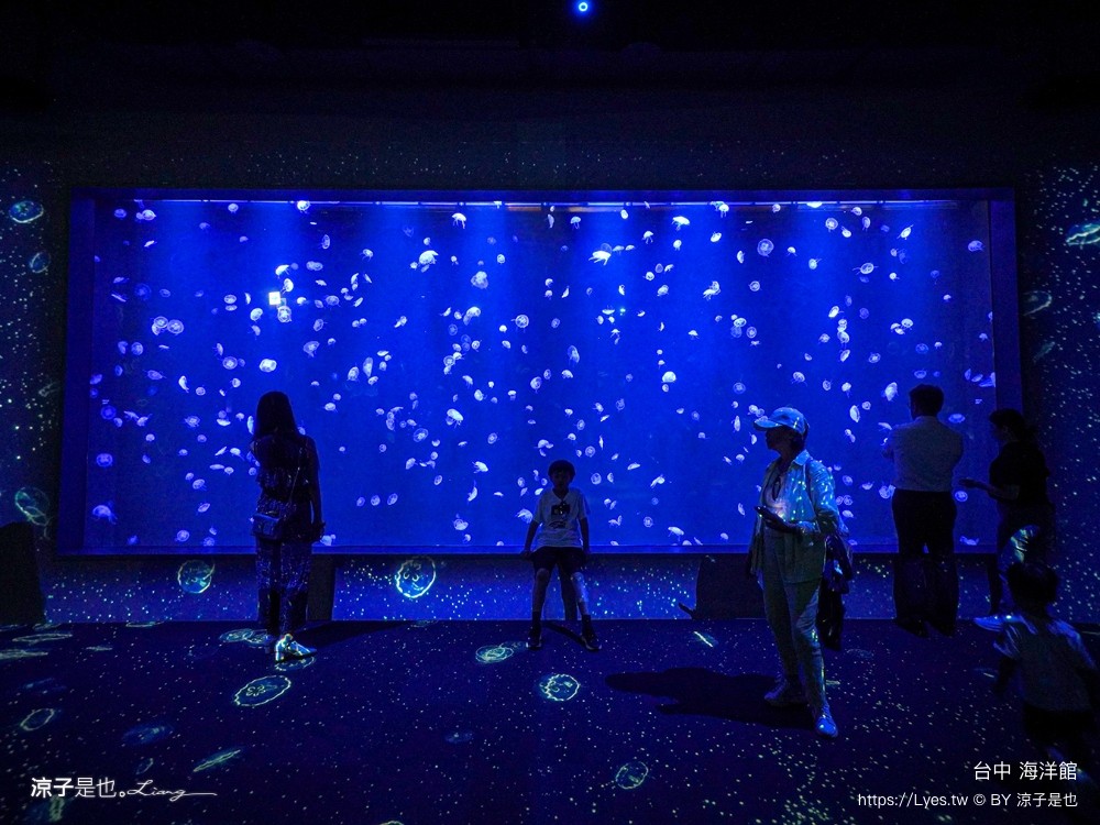 台中海洋館 門票優惠 交通 八大展區 免費票 台中親子景點 台中景點推薦 懶人包 攻略 必看特色