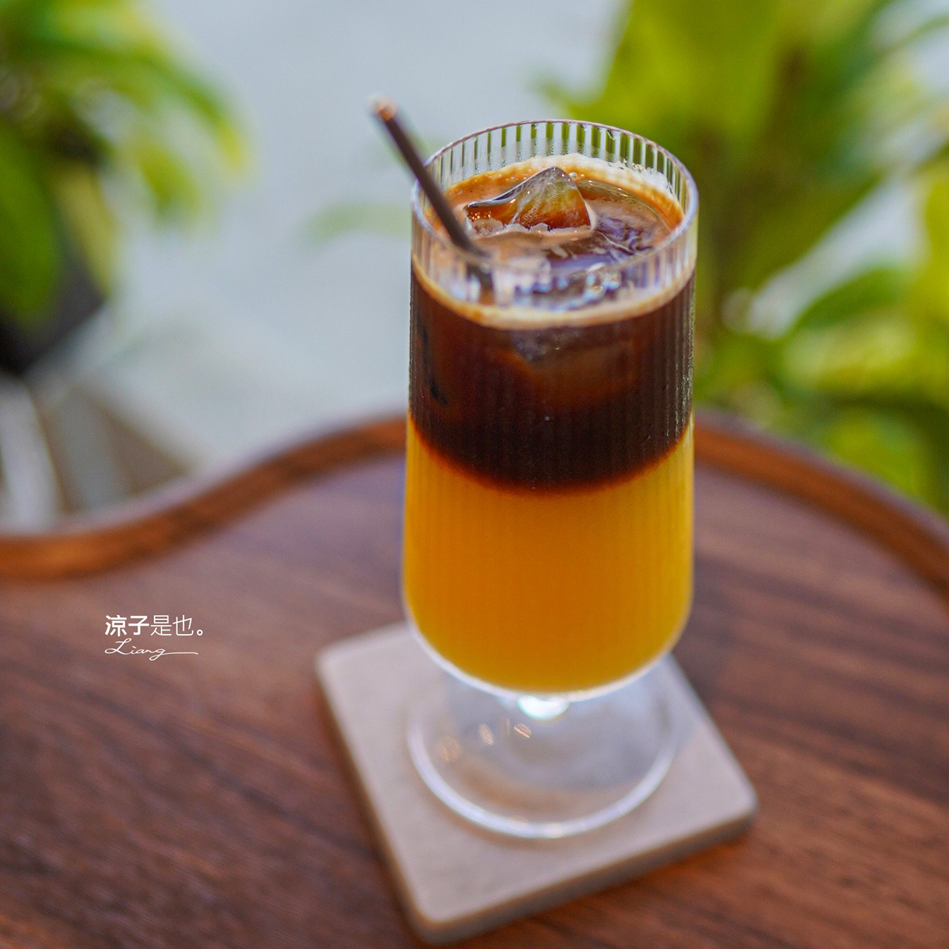 妮珂森咖啡 niksen 菜單 國姓咖啡 南投咖啡 寵物友善 南投下午茶 楞嚴宮 網美咖啡館