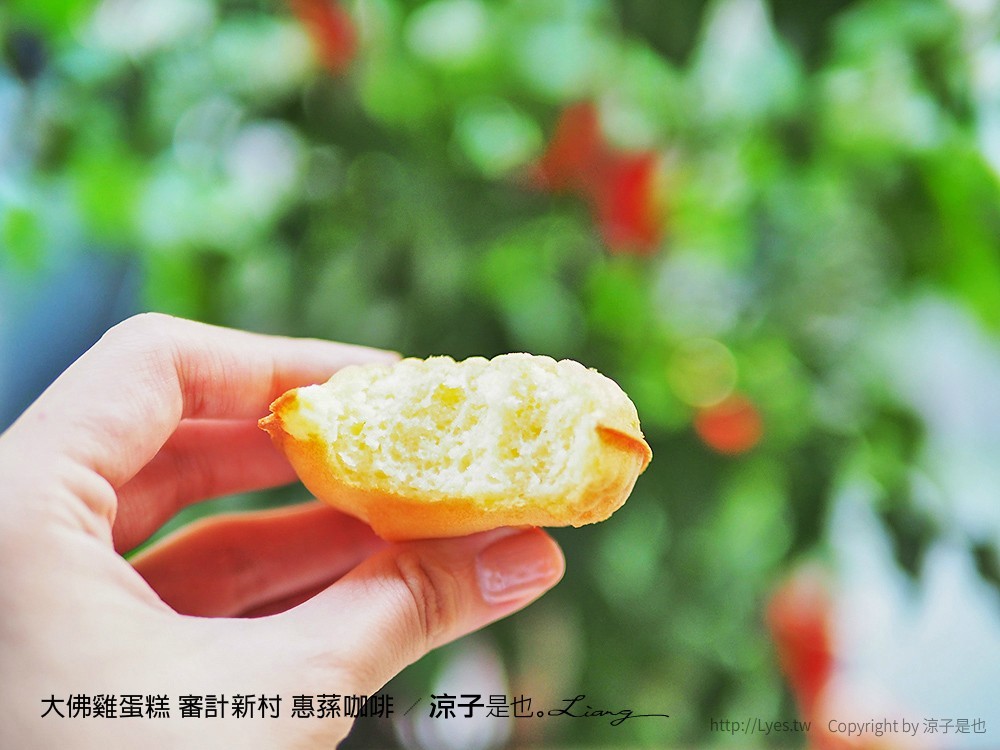 大佛雞蛋糕 審計新村 惠蓀咖啡