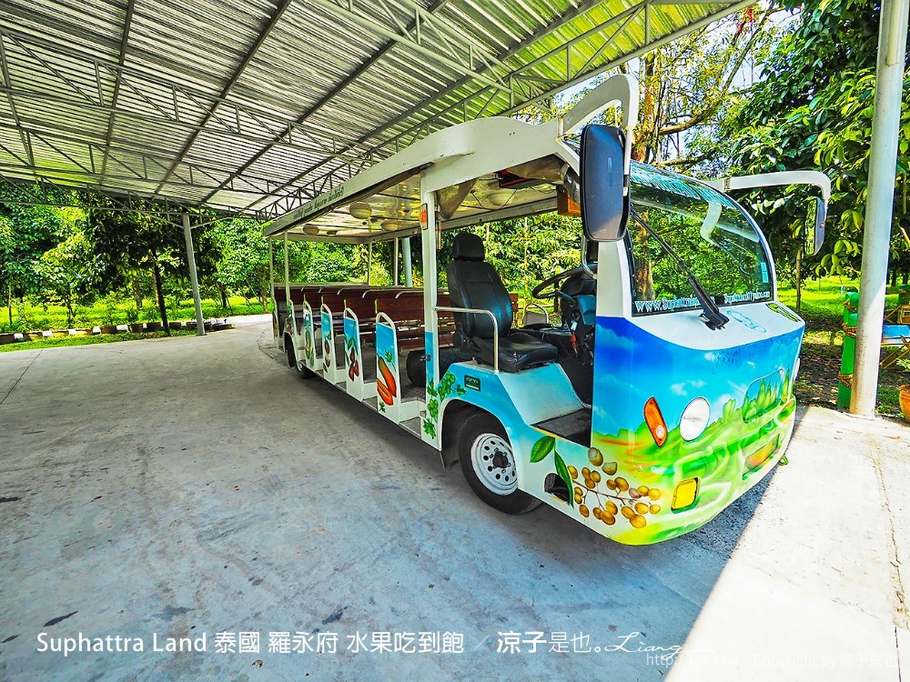 suphattra land 泰國 羅勇府 水果吃到飽