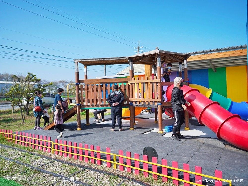 正實親子農場 門票 彰化 親子景點 撿雞蛋 氣墊樂園 溜滑梯 免費 餵小動物體驗 沙坑
