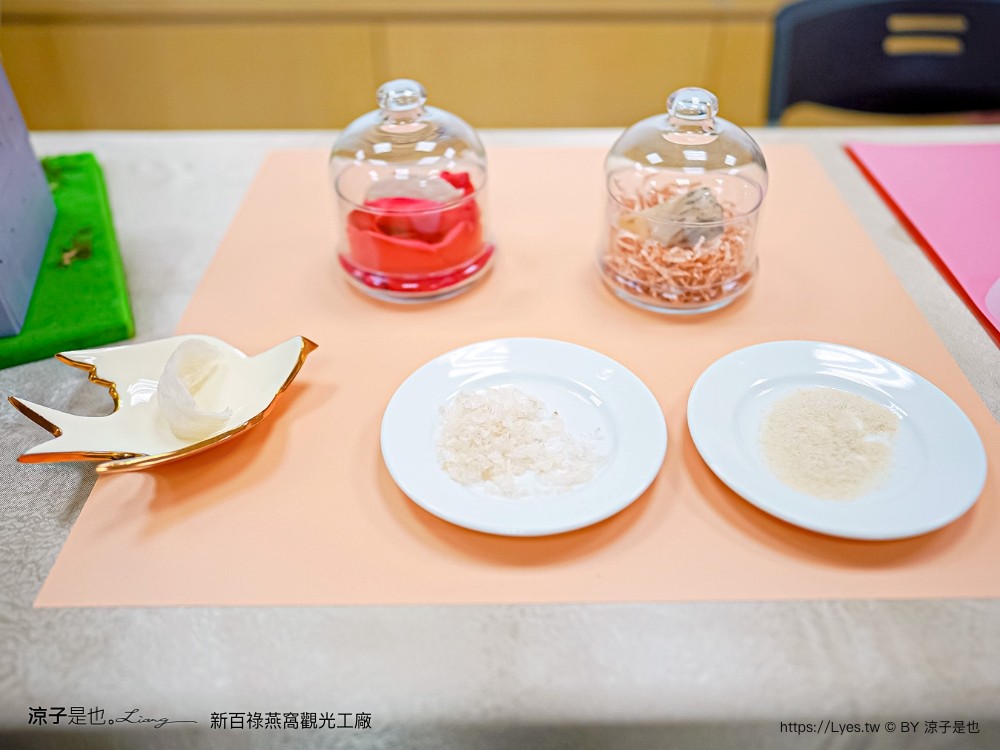 新百祿燕窩觀光工廠 免門票 台南景點 親子景點 燕窩DIY 台南伴手禮 互動體驗 新百祿燕窩評價