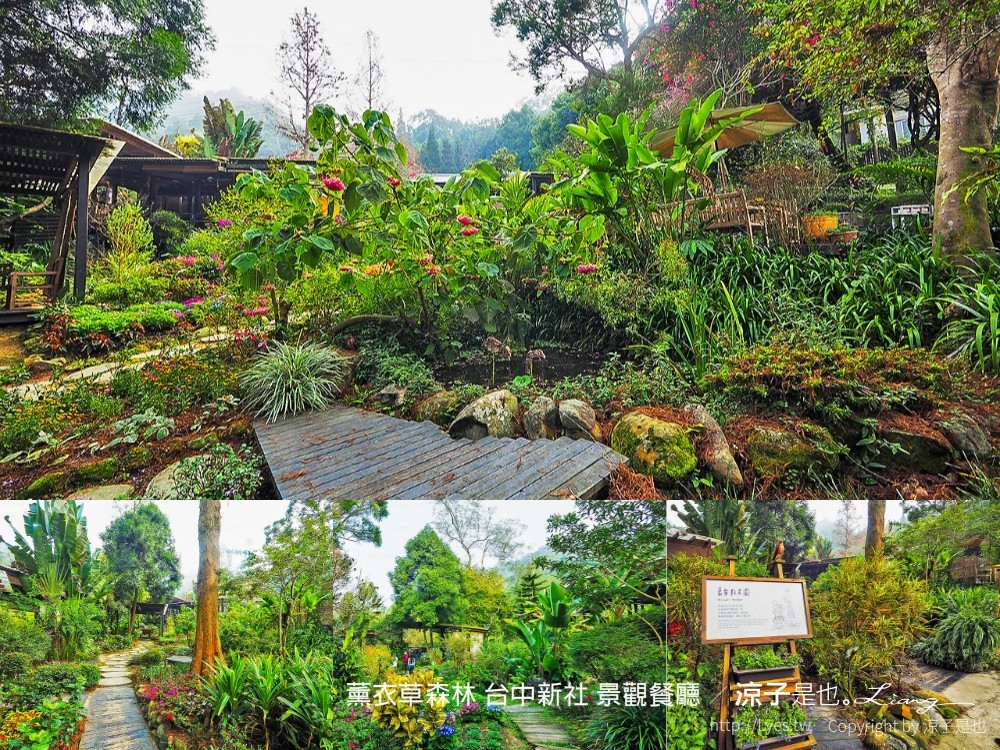 薰衣草森林 台中新社 景觀餐廳