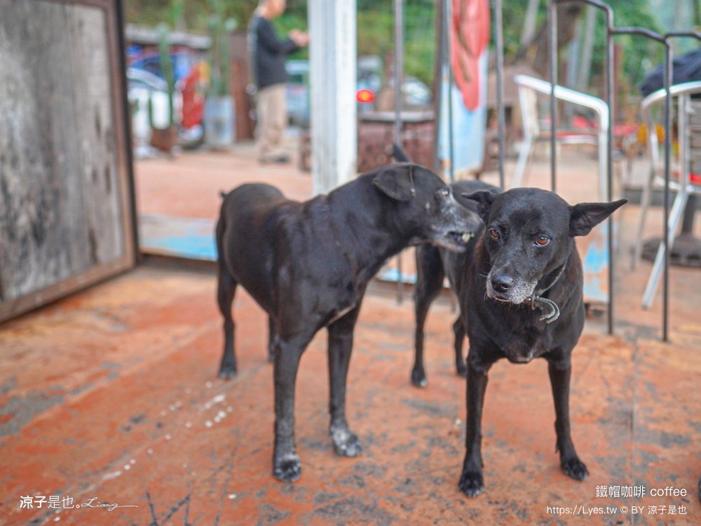 鐵帽咖啡 南投咖啡 國姓景點 中潭公路 南投秘境咖啡 南投下午茶 台14線 單車咖啡 重機單車休息站