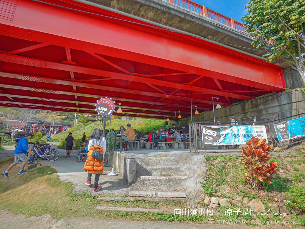 向山落羽松 日月潭自行車道 湖畔 落羽松步道 日月潭景點推薦 IG打卡 南投親子