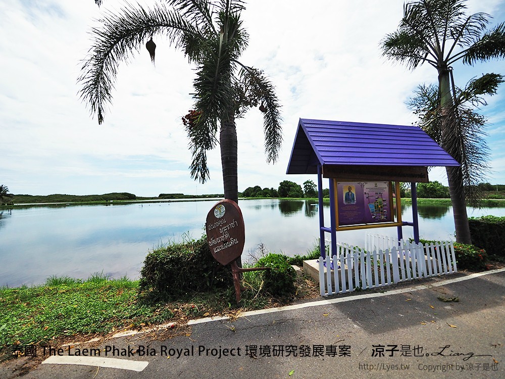 泰國 The Laem Phak Bia Royal Project 環境研究發展專案