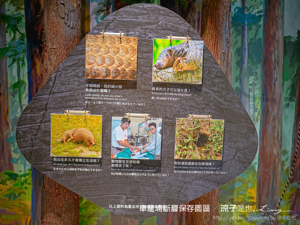 車籠埔斷層保存園區 南投竹山 親子景點 太空梭 VR體驗 跳舞機 3D劇場 手機icobo app