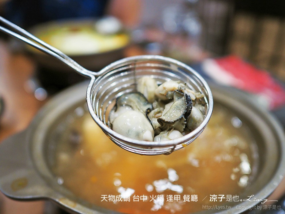 天物成鍋 台中 火鍋 逢甲 餐廳