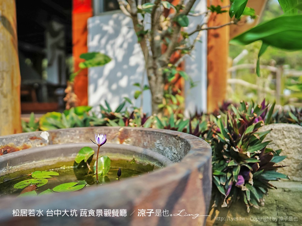 松居若水 台中大坑 蔬食景觀餐廳