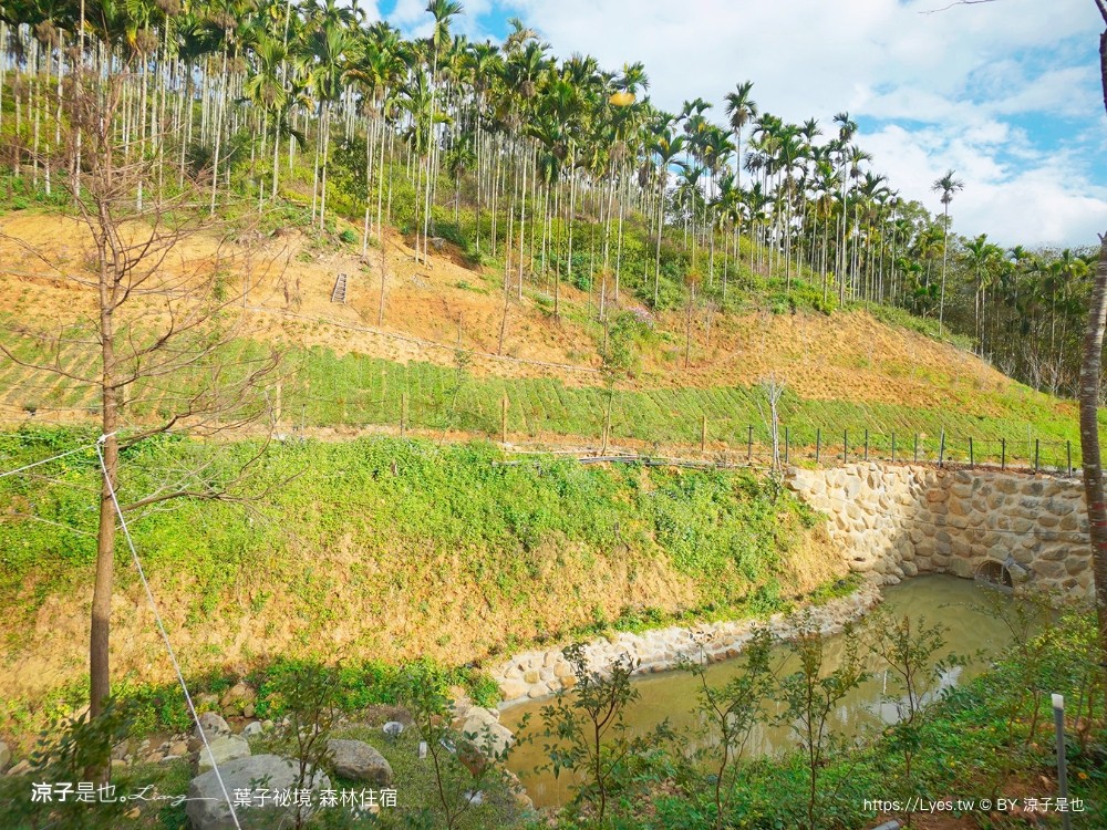 葉子祕境 南投埔里民宿 森林住宿 豪華懶人 netflix disney 日月潭 早餐 晚餐