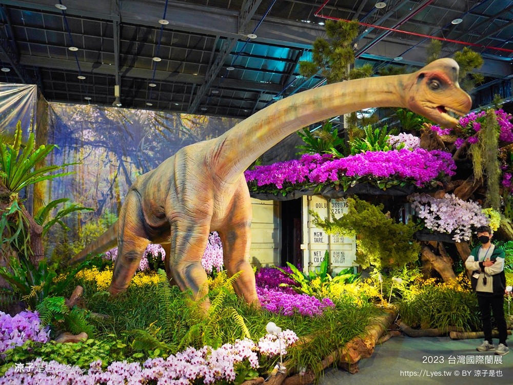 台灣國際蘭展 門票 2023時間 台南景點 魔境 恐龍 親子diy 必看亮點 台南限定蘭花