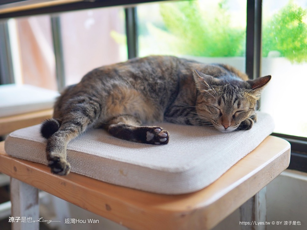 海景咖啡廳 墾丁海景餐廳推薦 日式茶點 烤飯團 日式糰子 hou wan