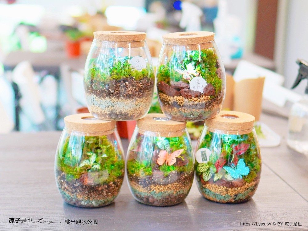 桃米親水公園 2024埔里親水節 南投埔里景點 免門票戲水池 親子玩水景點 山系親水公園 親子DIY