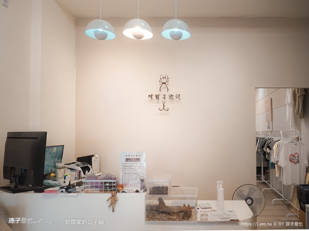 財閥家的公子貓 台南擼貓咖啡廳 台南景點推薦 狐獴 台南親子景點 室內景點 貓咪咖啡館 浣熊 狐獴 袋鼠 球蟒 雪貂 守宮