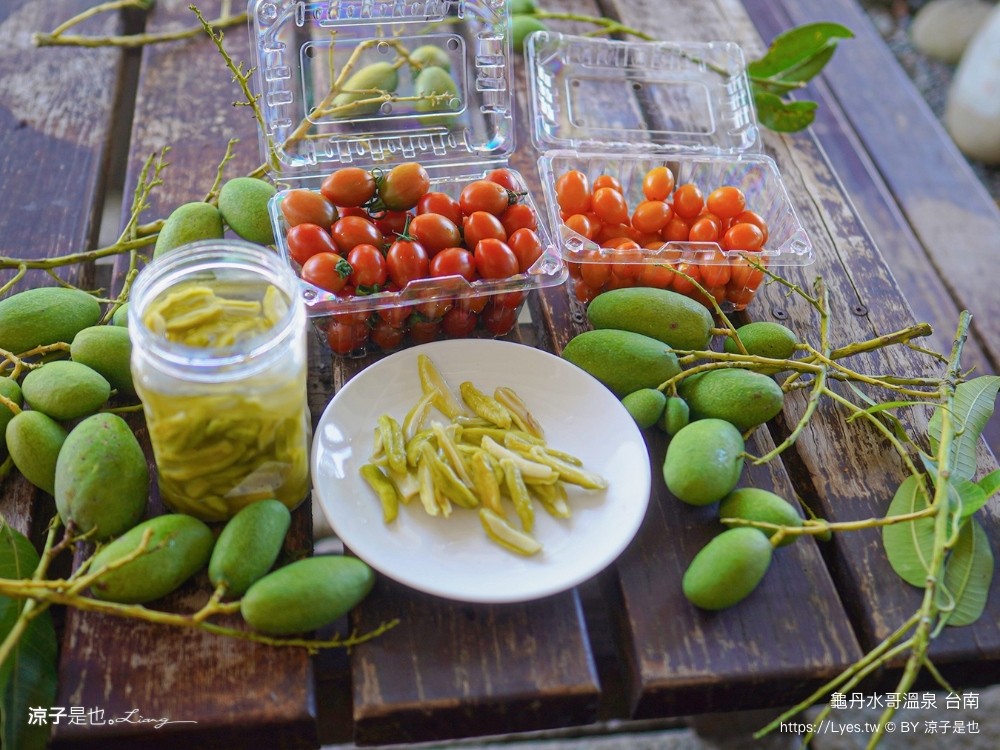龜丹水哥溫泉區 台南景點 spa 露天溫泉池 花旗木秘境 水哥休閒農事體驗