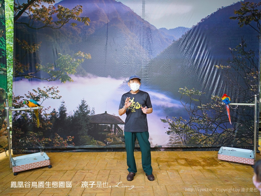 鳳凰谷鳥園生態園區 南投 親子景點 森林溜滑梯 賞鳥 DIY 鹿谷 步道 吊橋 瀑布