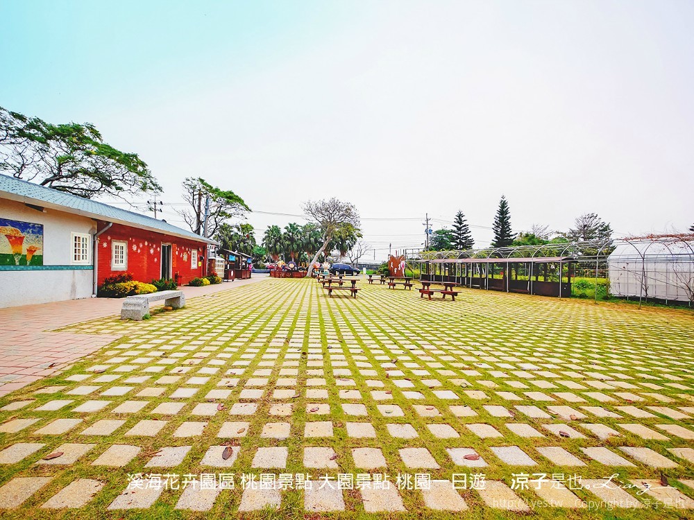 溪海休閒農業區 溪海花卉園區 桃園景點 大園景點 桃園一日遊