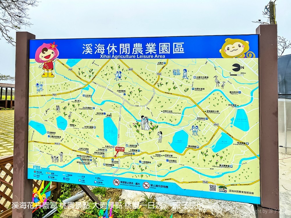 溪海休閒農業區 溪海花卉園區 桃園景點 大園景點 桃園一日遊