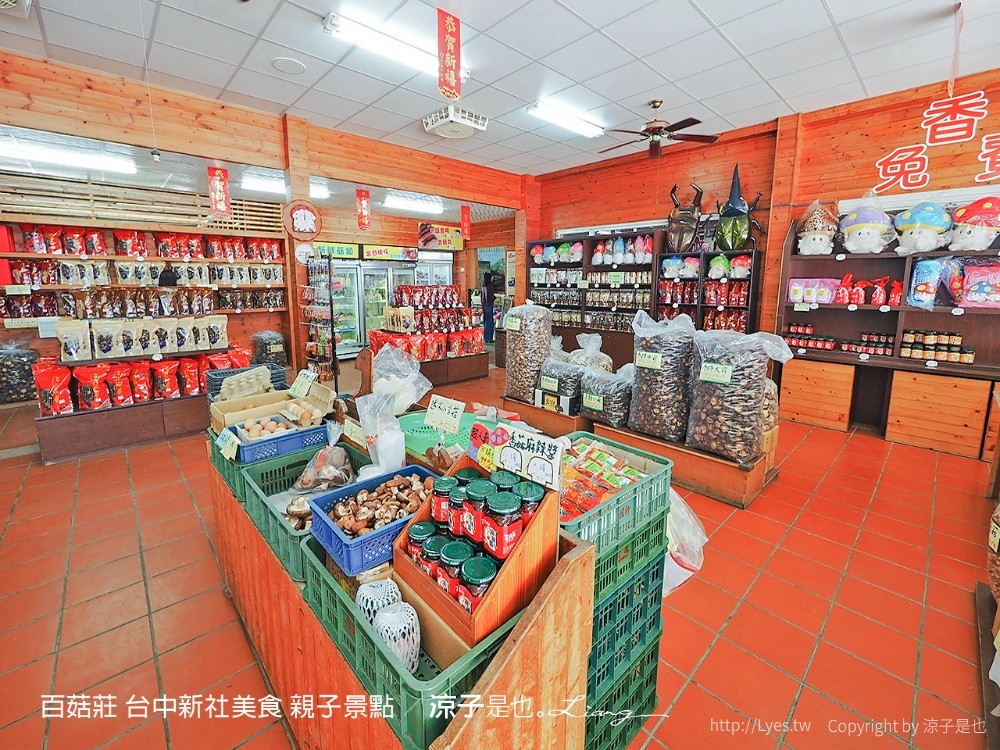 百菇莊 台中新社美食 親子景點