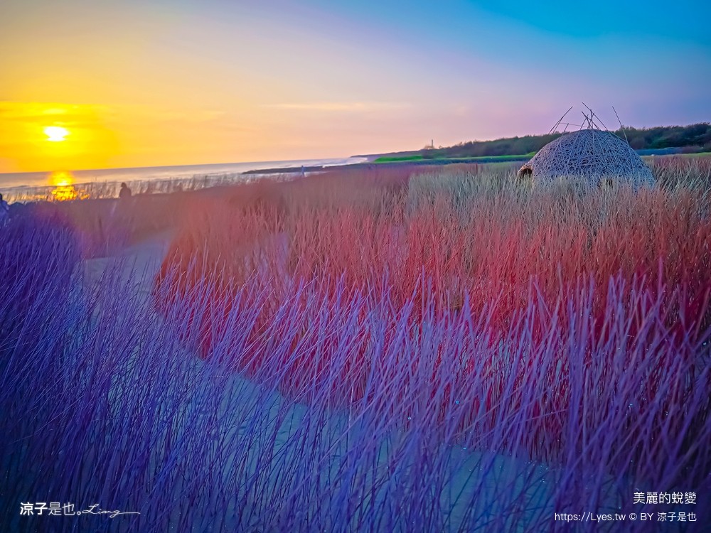 台南景點 七彩同心圓迷宮 ig打卡 開江紀 台江國家公園 鹿耳門 台南地景藝術 台江建庄二百年