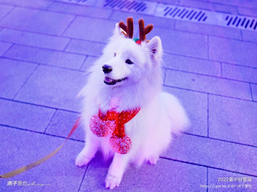 臺中好聖誕 愛邸家 台中聖誕 聖誕樹 抽獎活動 市集園遊會 親子遊戲站 集點摸彩