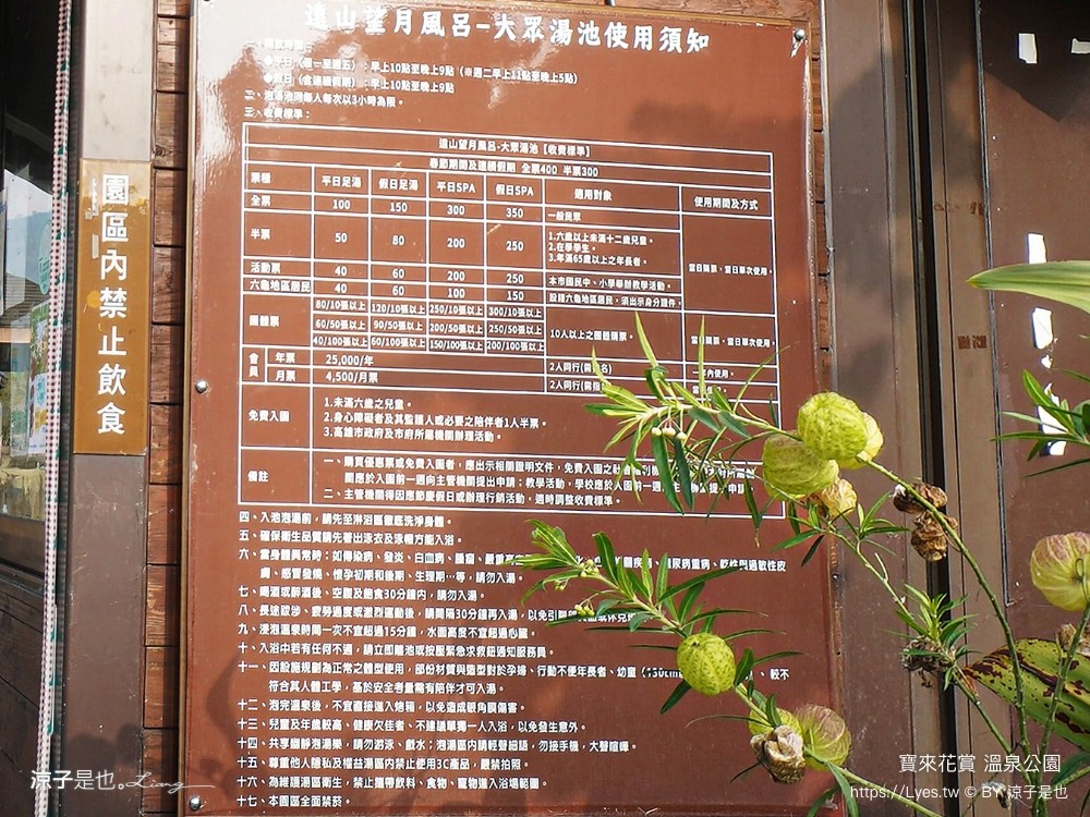寶來花賞溫泉公園 門票 高雄景點 2025 泡湯 收費 大眾湯 遠山望月溫泉風呂露營區 溫泉景點 停車