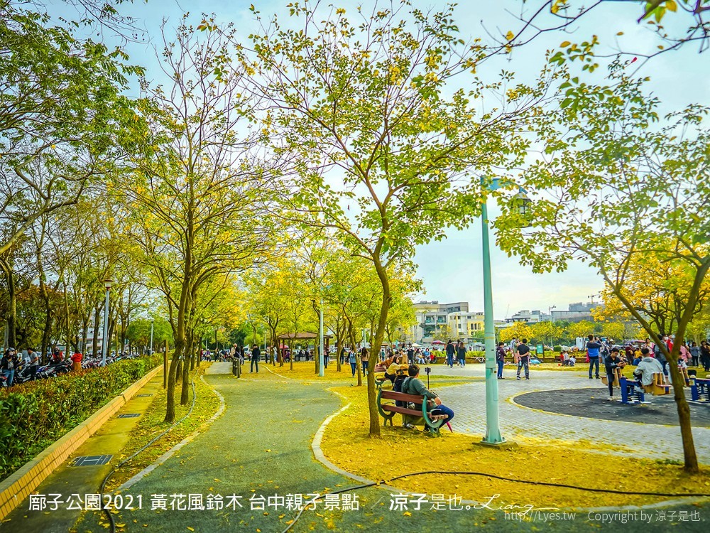 廍子公園2021 黃花風鈴木 台中親子景點