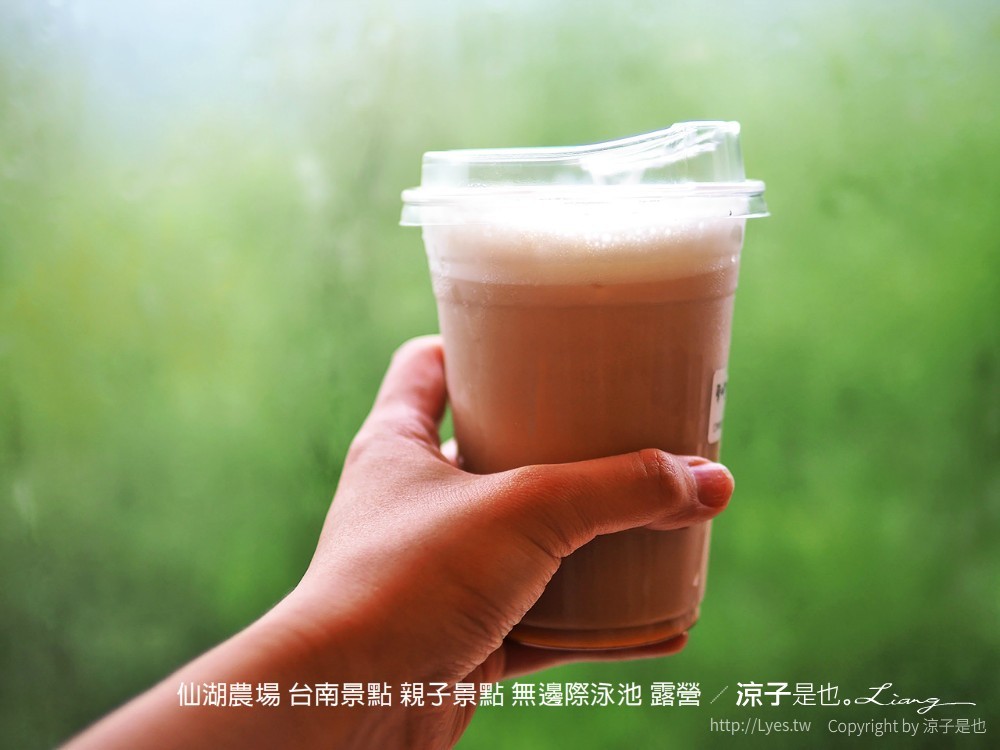 仙湖農場 台南景點 親子景點 無邊際泳池 露營