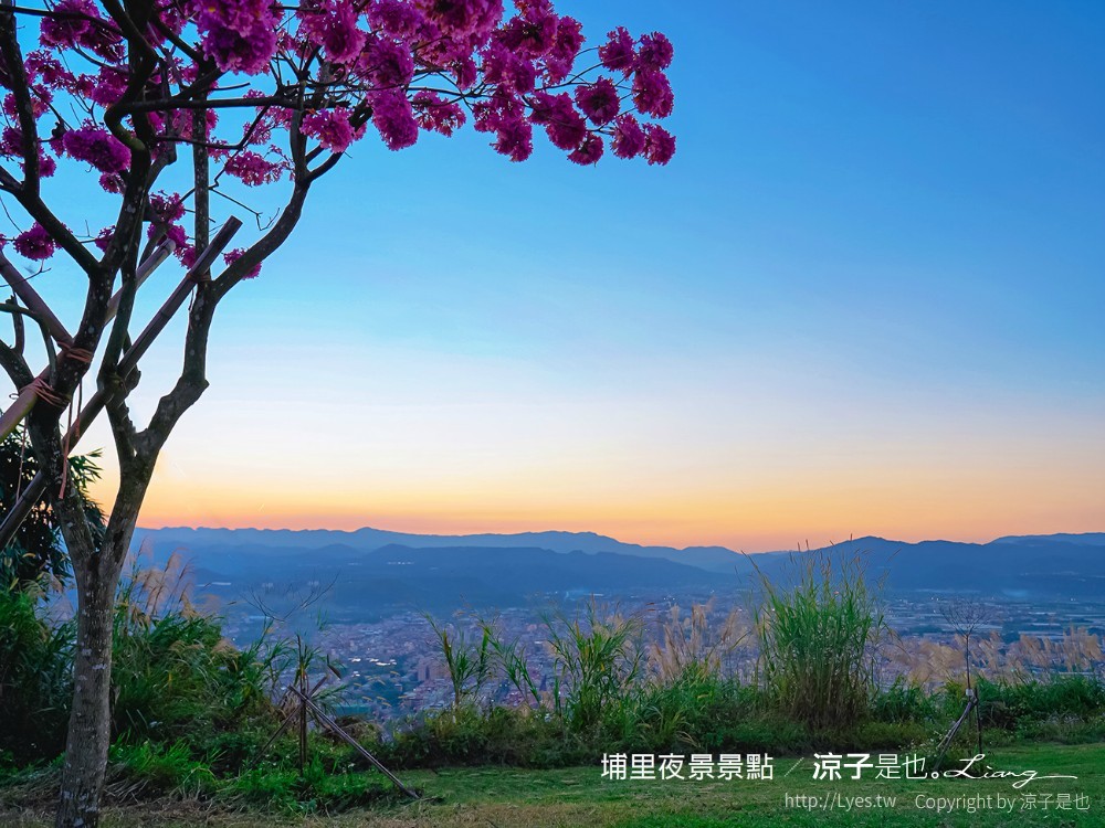 埔里景點 夜景 虎頭山觀景台 南投親子景點 埔里飛行傘基地 台灣地理中心碑