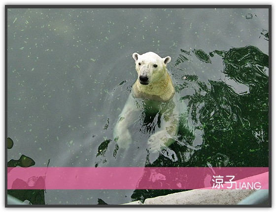 愛寶樂園(動物篇)01