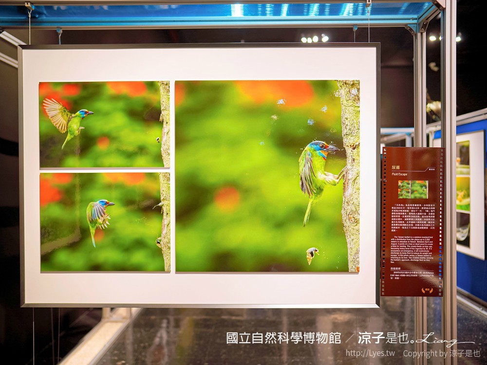 台中科博館 台中室內親子景點 國立自然科學博物館 線上購票 交通 美食 恐龍侏儸紀公園 iCoBo 手機app i科博