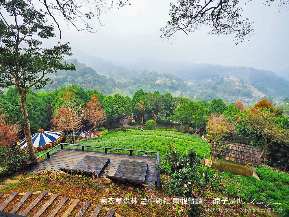 薰衣草森林 台中新社 景觀餐廳