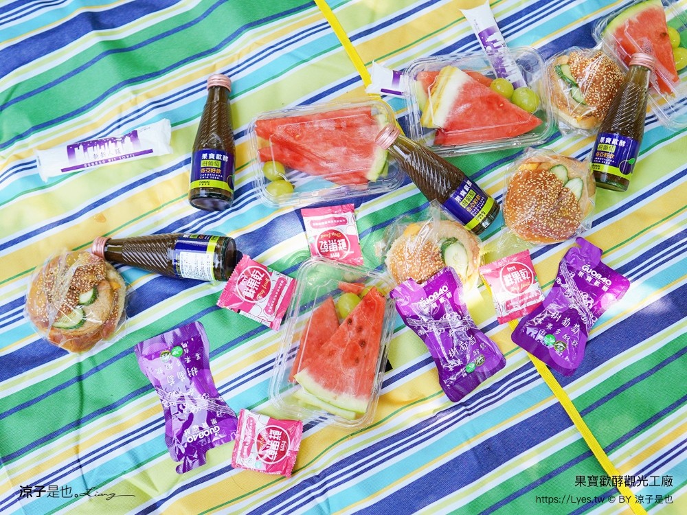 果寶歡酵觀光工廠 有機嘉寶果農場 門票 樹葡萄 南投埔里 親子景點 diy體驗 桃米休閒農業區